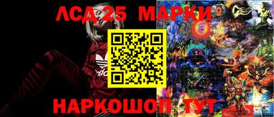 a pvp Будённовск