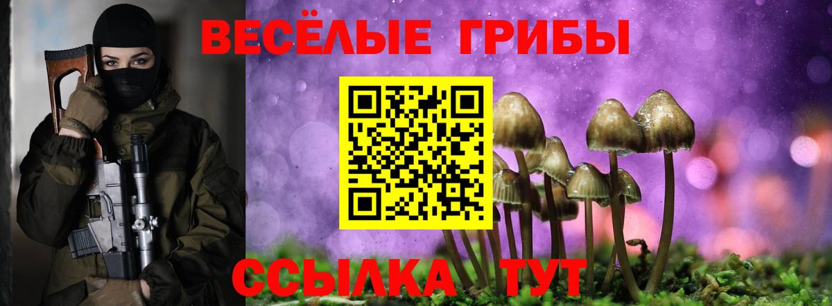 Протвино  Галлюциногенные грибы Psilocybe  Вход с VPN  Псилоцибиновые грибы Psilocybine cubensis 